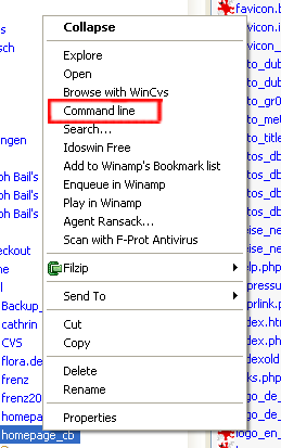 Erweitertes Kontext-Men� des Windows-Explorers (Klicken f�r vergr��erte Darstellung)
